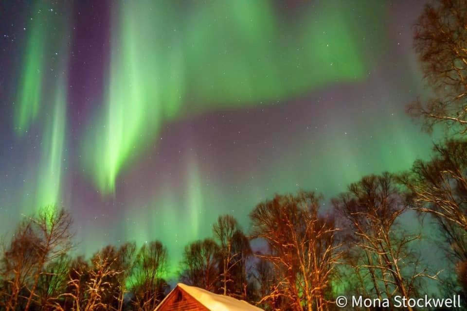 Susitna River Lodging, Suites Талкитна Экстерьер фото